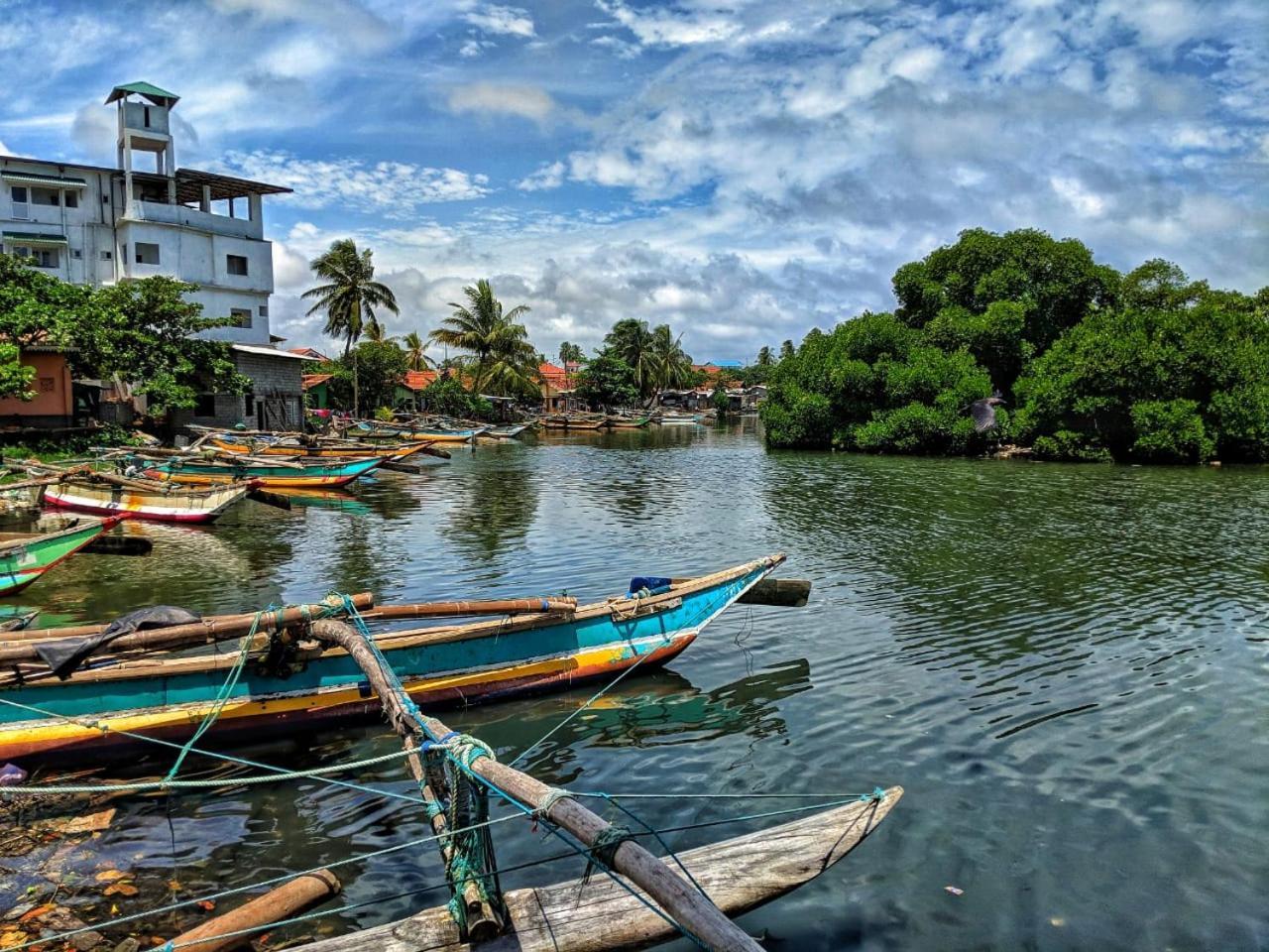 The Alexis'S Guest House Negombo Dış mekan fotoğraf